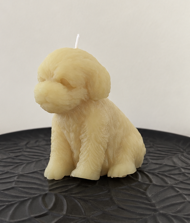 Biscuit – Cherry Blossom Beeswax Dog Candle