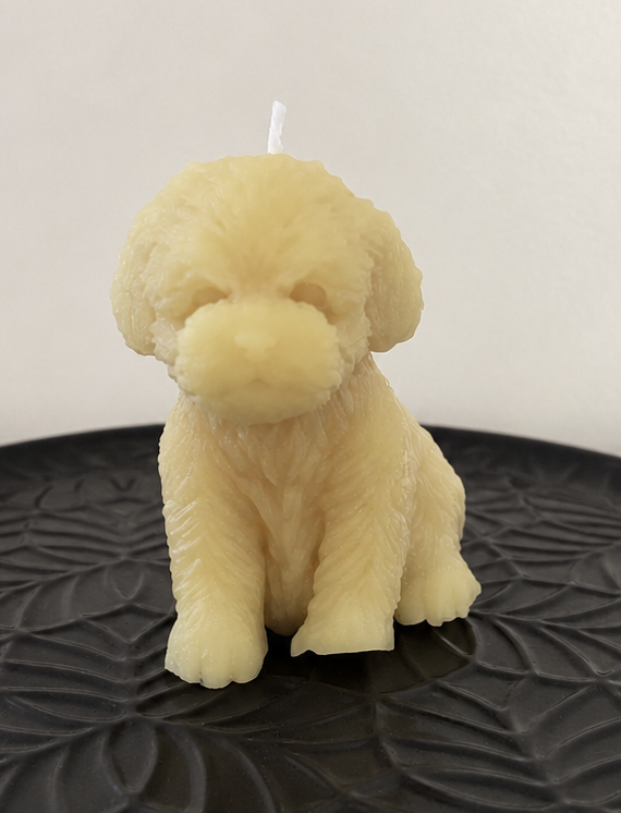 Biscuit – Cherry Blossom Beeswax Dog Candle
