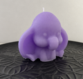 Peanut – Purple Black Raspberry & Vanilla Beeswax Candle